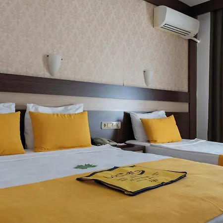 Lonicera World 4* Avsallar