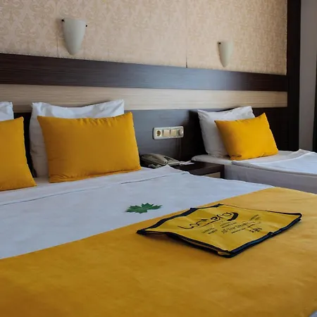 Lonicera World 4* Avsallar