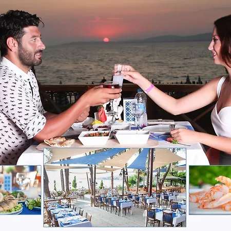 Θέρετρο Lonicera World 4*